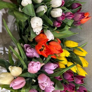 Ramo tulipanes