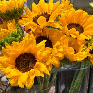 Ramo 5 Girasoles