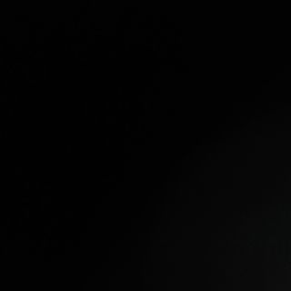 Croquetas de setas silvestres