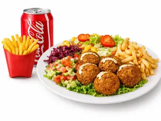 PLATO DE FALAFEL MENU