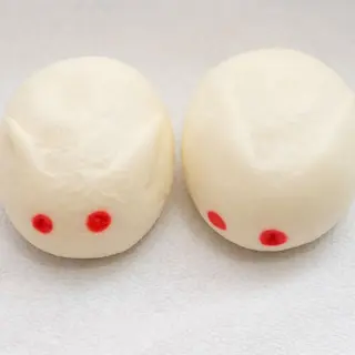 16.Bao YUTU