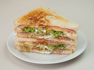 SANDWICHES ESPECIAL