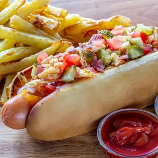 PERRITO Onda Vital