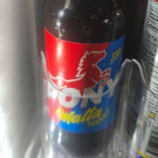 Malta pony