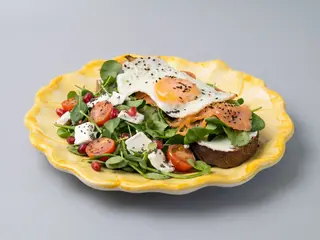 PROTEIN SALMON LIGHT