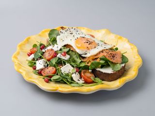 PROTEIN SALMON LIGHT
