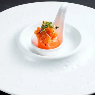 472 - Bigne salmon 2PZ