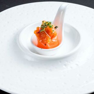 472 - Bigne salmon 2PZ