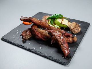 LAGARTO IBERICO