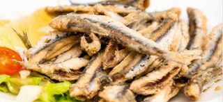 Tapa De Seitons Fregits