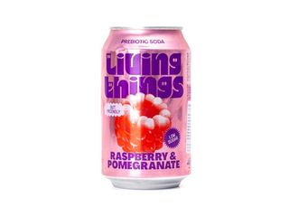 Living Things (330 Ml.)