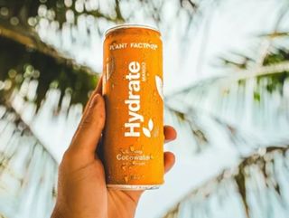 Coconut water- mango (330 ml)