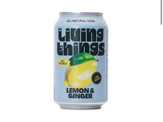 Living things- lemon & ginger (330 ml)