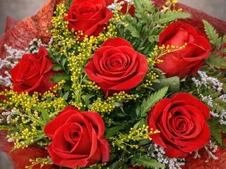 Ramo 6 Rosas rojas