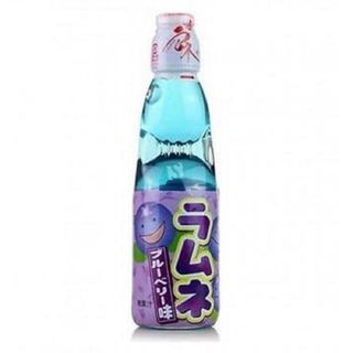 B17. RAMUNE DE ARANDANO 200ML