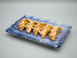 19. GYOZA DE GAMBA FRITO X5