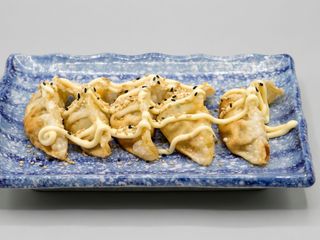 17. GYOZA DE POLLO FRITO X5