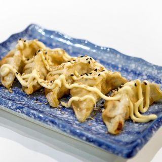17. GYOZA DE POLLO FRITO X5