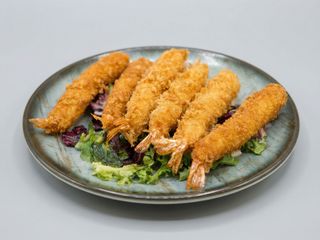 12. EBI FRY X6