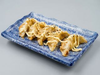 18.GYOZA DE CARNE FRITO X5