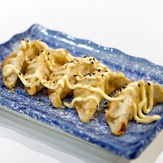 18.GYOZA DE CARNE FRITO  X5