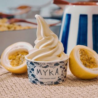 Helado Mixto Yogurt Temporada (500Ml.)
