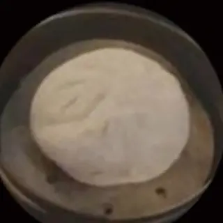 (80)baozzi