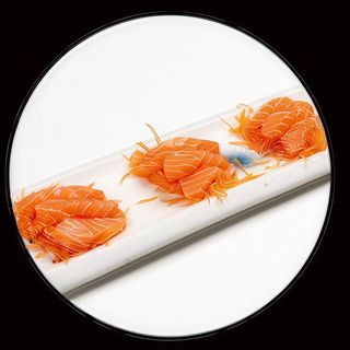 sashimi salmon