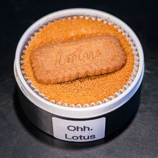 Cheesecake de Lotus  10,5 cm