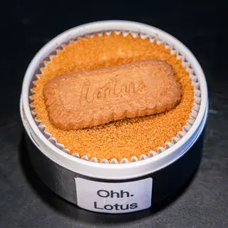 Ohh Lotus grande