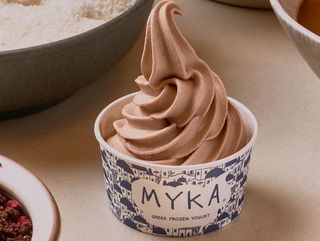 Helado Mixto Yogurt Temporada (500Ml.)