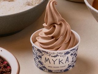 Helado De Yogurt Griego De Temporada (500 Ml.)