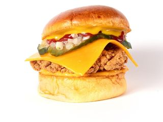 BURGER POLLO