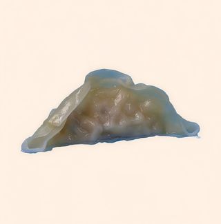 Gyoza De Verdura (4 Pzs.)