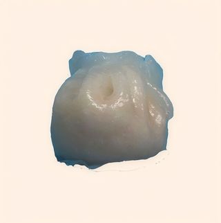 Hakao De Gamba (4 Pzs.)