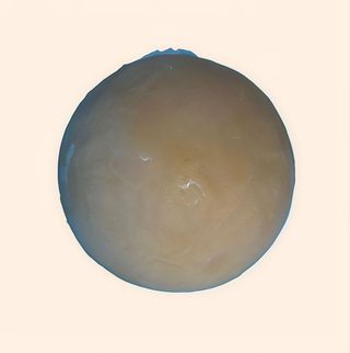 Mochi Helado De Mango (1 Ud.)