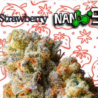 10G Strawberry x Nano9 al 65 cbd