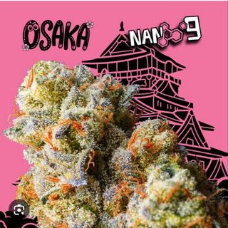 2G Osaka CBD al 36 CBD