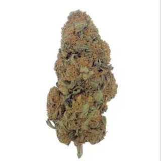 2G Durban Poisson CBD al 20 CBD