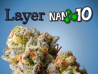 2G Layer Nano 10 CBD al 75%
