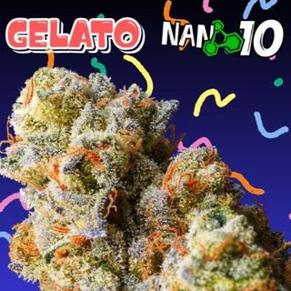 2G Gelato x Nano 10 CBD al 65%