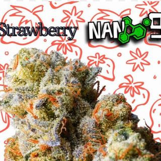 3G Strawberry x Nano9 al 65 cbd