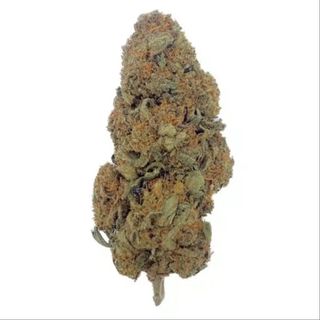 3G Durban Poisson CBD al 20 CBD