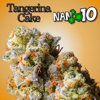 2G Tangerina Cake Nano 10 CBD al 70%