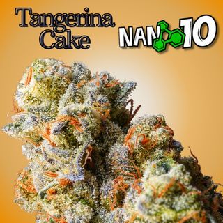1G Tangerina Cake Nano 10 CBD al 70%