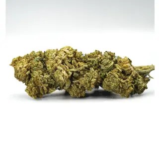 3G Suprem Nano ++ CBD al 81%