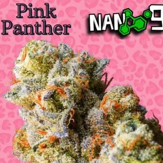 2G Pink Panther X NANO 9 al 78 CBD