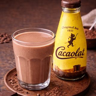 Cacaolat (200 Ml.)