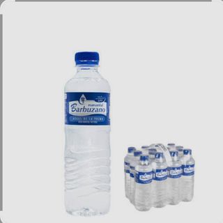 Agua sin gas (500 ml.)