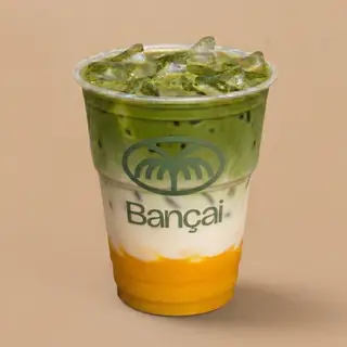 Iced Mango Matcha Latte